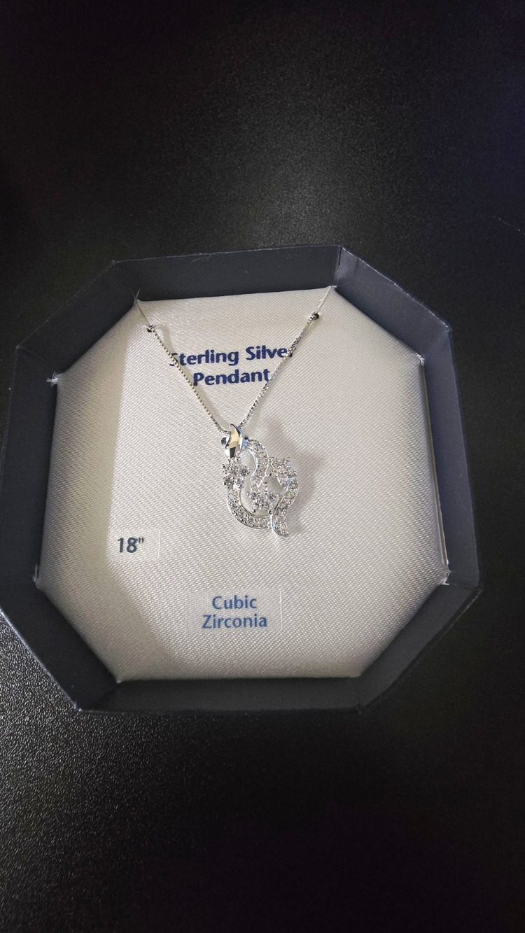925 Sterling Silver Pavé Round CZ Charm Pendant Necklace 18in Box Chain
